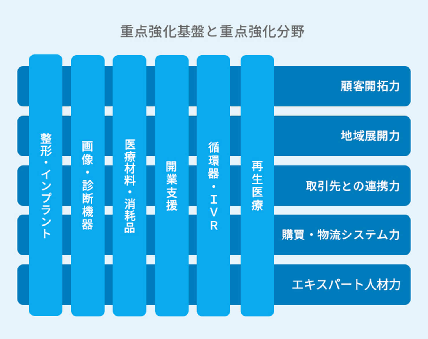 重点強化基盤と重点強化分野